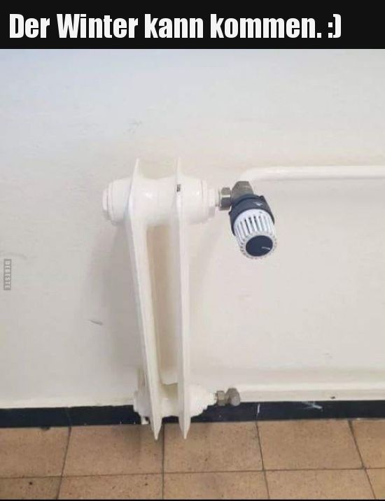 Describe this image